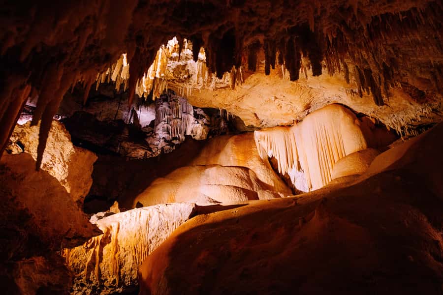 Augusta: Jewel Cave Fully-Guided Tour - The optional karri forest walk after the cave