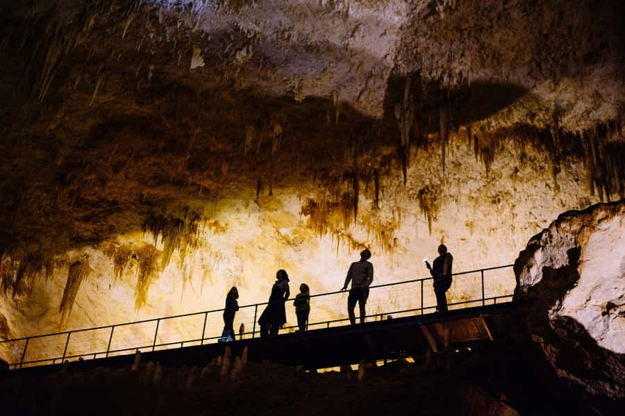 Augusta: Jewel Cave Fully-Guided Tour - How the $17 price compares with the experience