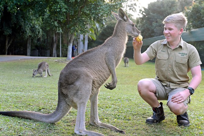 Australia Zoo Day Trip from Brisbane - Key points to know before you book