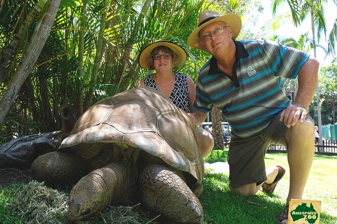 Australia Zoo Day Trip from Brisbane - Start with kangaroos before the crowds and heat