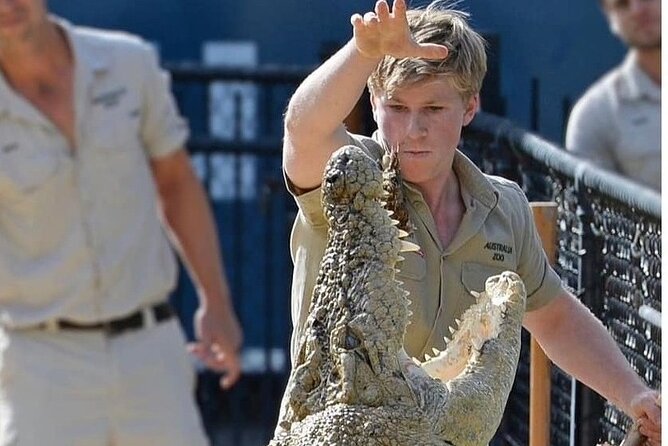 Australia Zoo Day Trip from Brisbane - Plan your day around the Crocoseum