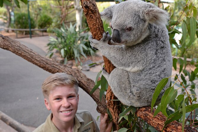 Australia Zoo Day Trip from Brisbane - The animal hospital adds meaning to the visit