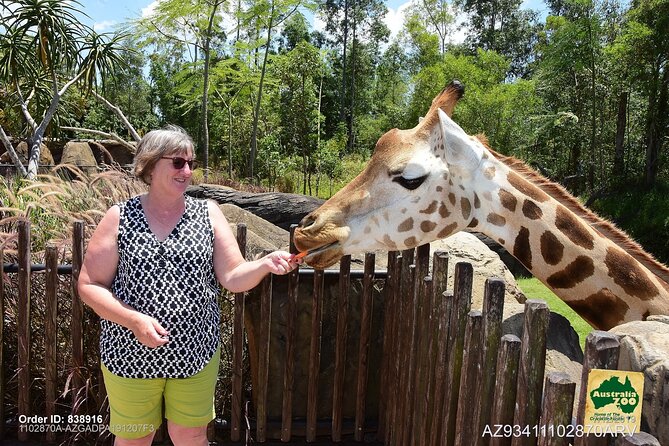 Australia Zoo Day Trip from Brisbane - What the $128.39 price includes