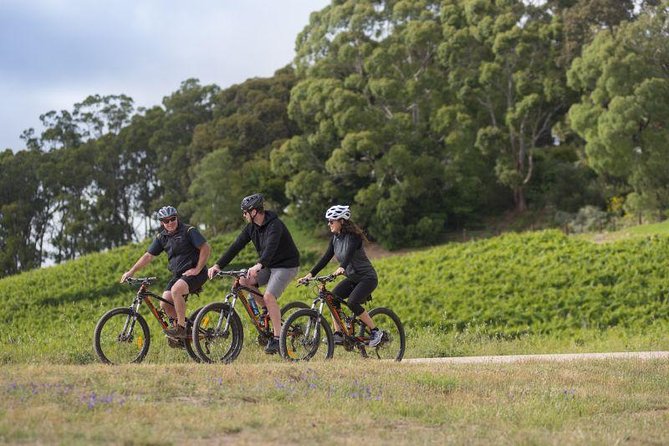 Australian Wine Discovery Tour Ticket - Price, group size, and practical planning