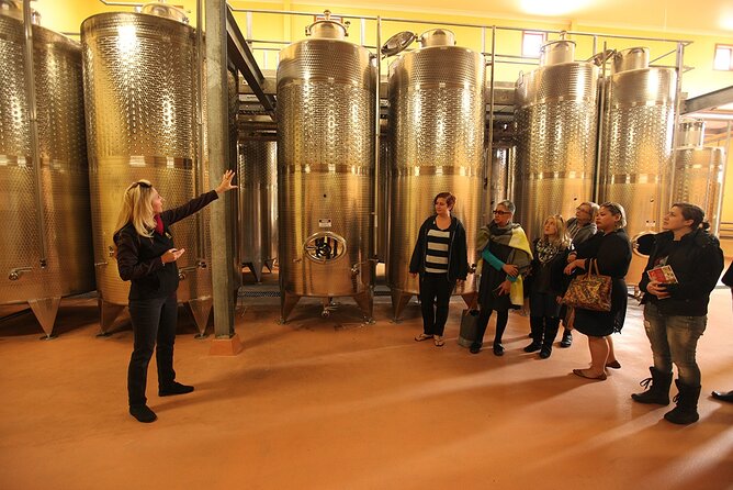 Award-Winning Hunter Valley Wine & Cheese Tour from Sydney - The road north through Sydney’s coastal country