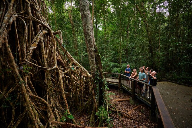 Barefoot Atherton Tablelands Adventure by Cairns Waterfalls - 7:30 am pickup and the road to the Tablelands