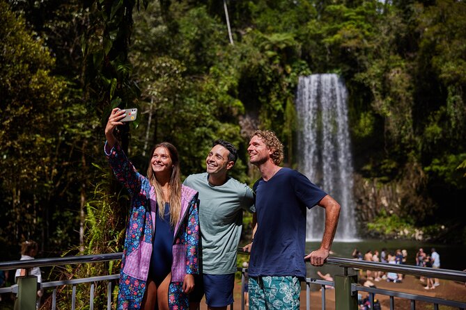Barefoot Atherton Tablelands Adventure by Cairns Waterfalls - The giant fig tree stop