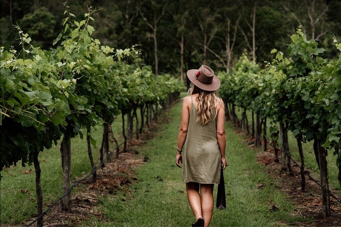 Barefoot Luxury Mount Tamborine Winery Tour from Brisbane - Key things to know before you book