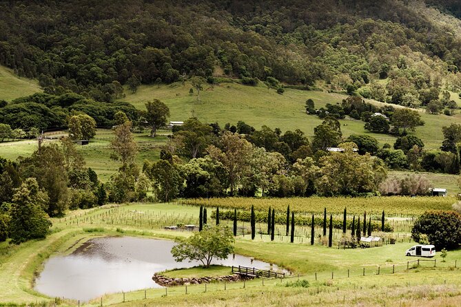 Barefoot Luxury Mount Tamborine Winery Tour from Brisbane - Why this makes a good Brisbane day trip