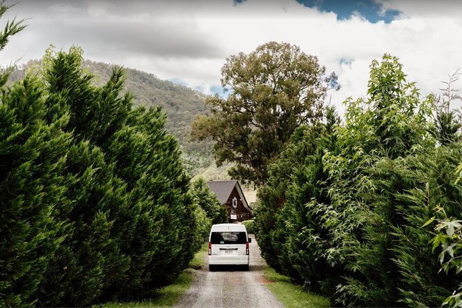 Barefoot Luxury Mount Tamborine Winery Tour from Brisbane - Witches Falls Winery and the first tasting