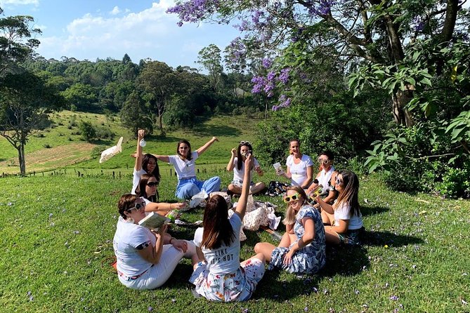 Barefoot Luxury Mount Tamborine Winery Tour from Gold Coast - Scenic Mount Tamborine views