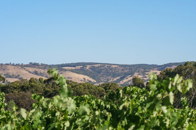 Barossa Bespoke Tours-A private, wine tour to the Barossa Valley - Why a private Barossa day works so well