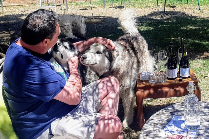 Barossa Private Wine Tour - A regional platter lunch breaks up the tastings