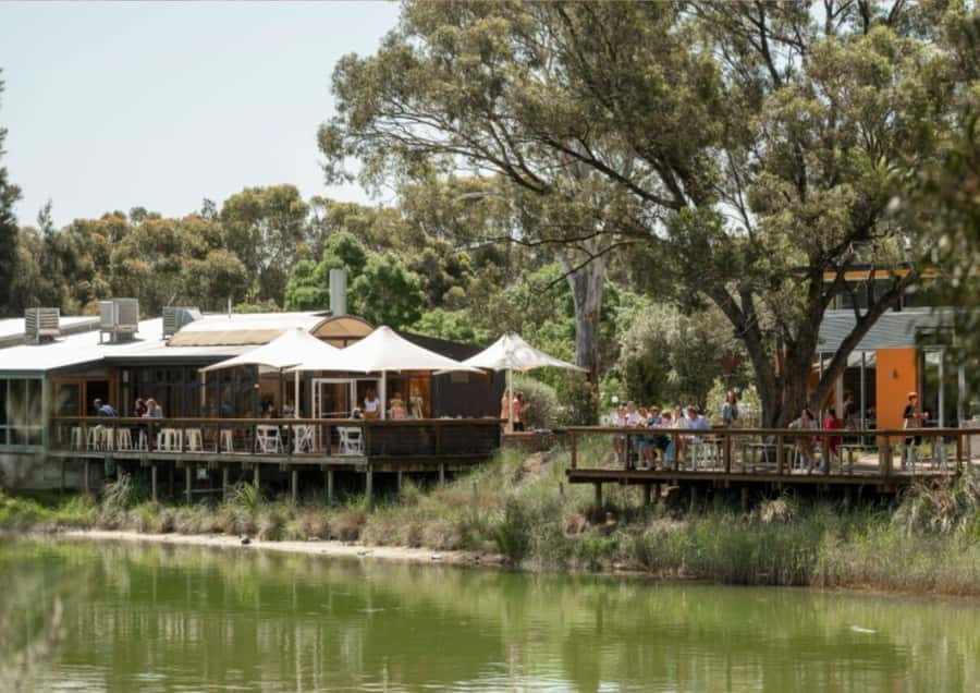 Barossa Valley: Maggie Beer's Wine Tasting & Cheese Platter - Sitting beside the dam with wine and cheese