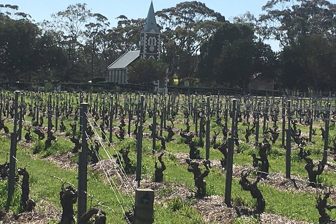 Barossa Valley Private Luxury Tour Full Day - Why a private Barossa day works so well