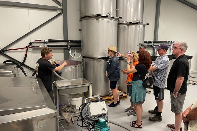 Barossa Valley Private Luxury Tour Full Day - Big names, boutique doors, and tasting fees