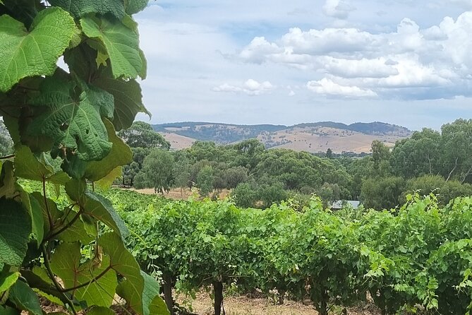 Barossa Valley Shared Tour with Wine Tasting and Lunch - Andrew’s role makes a real difference