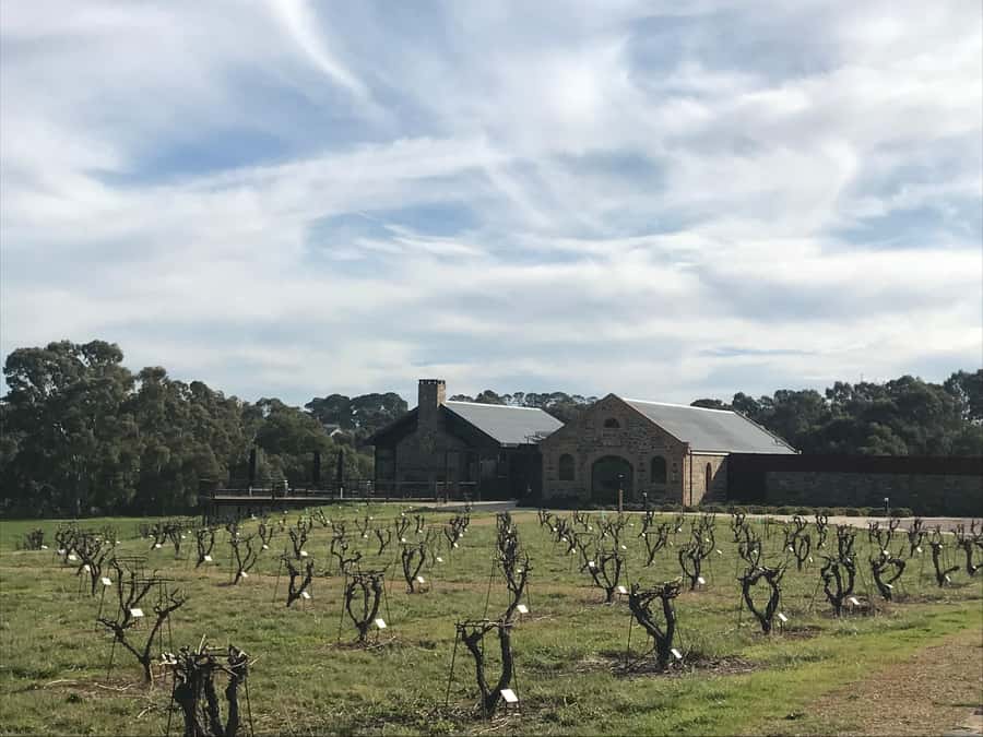 Barossa Valley: Small Group Wine Tour (Includes Lunch) - Starting from Adelaide or the Barossa