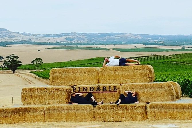 Barossa Wine Tasting shared tours - How the strong ratings fit the experience