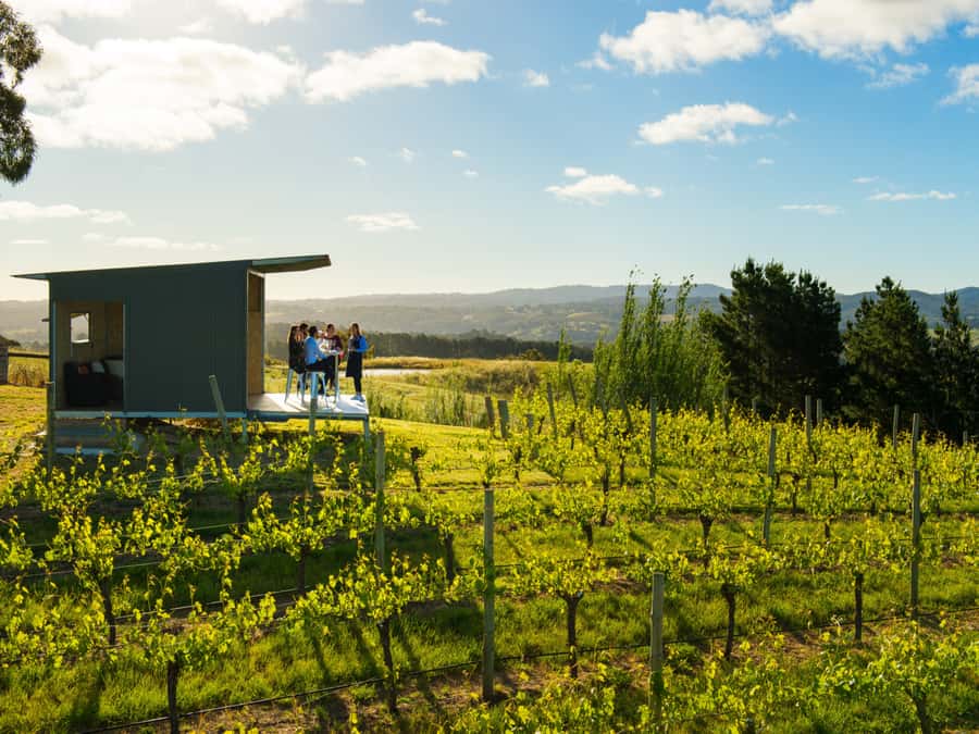 Barossa Wine Tour: Small Group 8 max, Rare, Unique, Premium - Key points at a glance