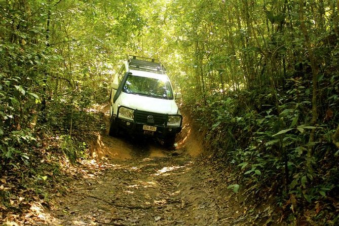 Barron Gorge and Kuranda National Park Half Day Rainforest and Waterfall 4WD Tour from Cairns - What the 4WD ride is really like
