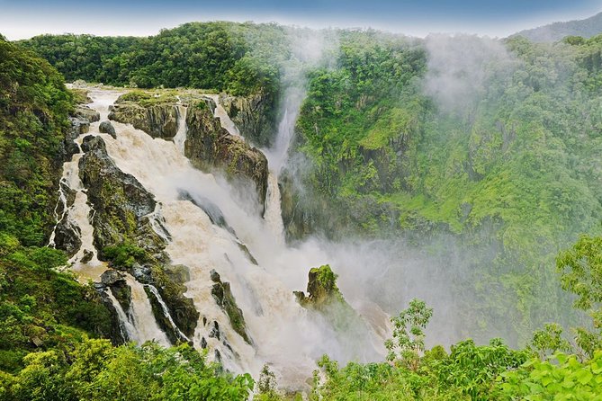 Barron Gorge and Kuranda National Park Half Day Rainforest and Waterfall 4WD Tour from Cairns - Kuranda National Park and the forest details