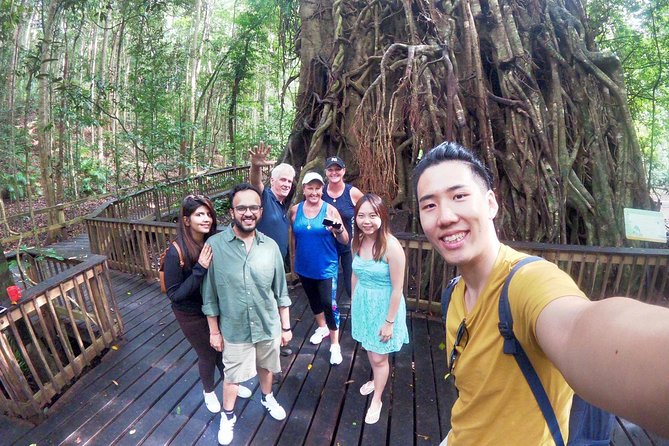 Barron Gorge and Kuranda National Park Half Day Rainforest and Waterfall 4WD Tour from Cairns - Barron Falls, the famous first look