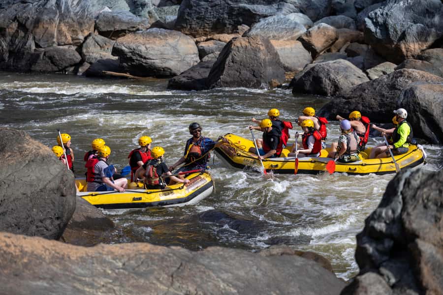 Barron Gorge: Half-Day Barron River White-Water Rafting - Who should book this Barron River trip