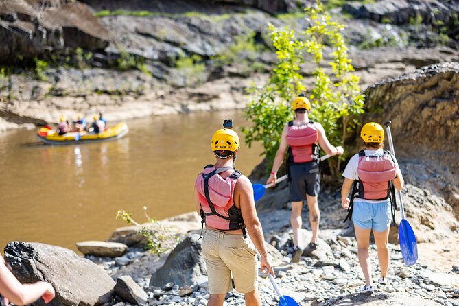 Barron Gorge White Water Rafting from Cairns or Port Douglas - Transport, timing, and the half-day trade-off