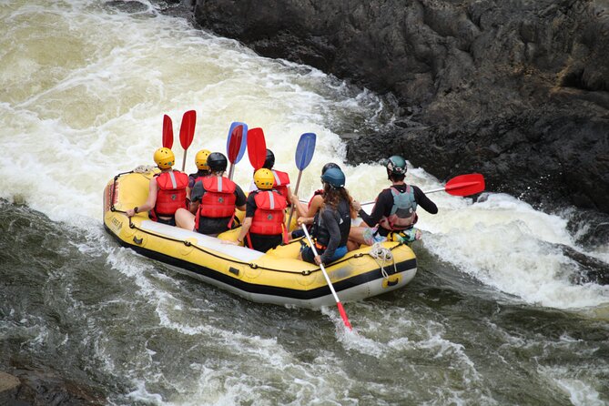 Barron River Half-Day White Water Rafting Cairns or Port Douglas - What the half-day Barron River trip is really like