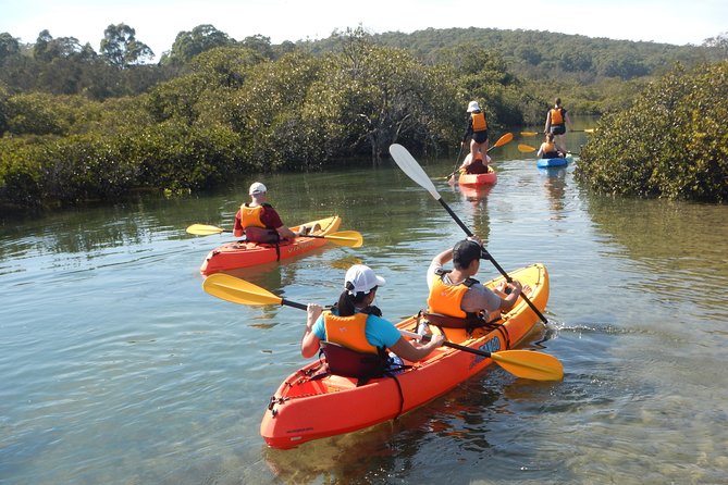 Batemans Bay Glass-Bottom Kayak Tour Over 2 Relaxing Hours - Why the glass-bottom kayak changes the outing