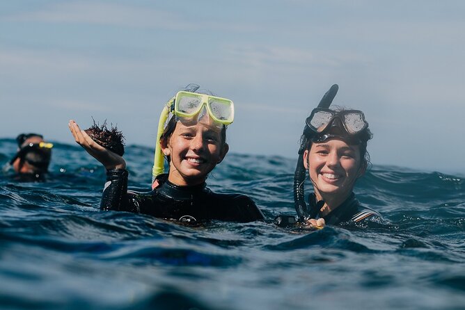 Batemans Bay Glass-Bottom Kayak Tour Over 2 Relaxing Hours - What is included for $99.70?