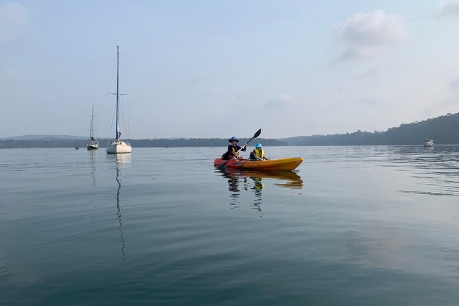 Batemans Bay Glass-Bottom Kayak Tour Over 2 Relaxing Hours - Who will enjoy this tour most?