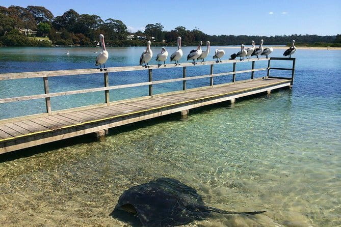 Batemans Bay Sunset Pizza Kayak Tour - Float and Feast - Is $106.87 good value?
