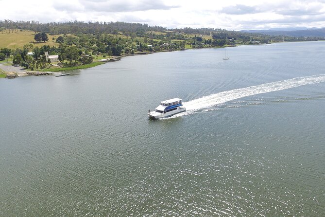 Batman Bridge 4 Hour Luncheon Cruise including sailing into the Cataract Gorge - The Tamar Valley and Batman Bridge