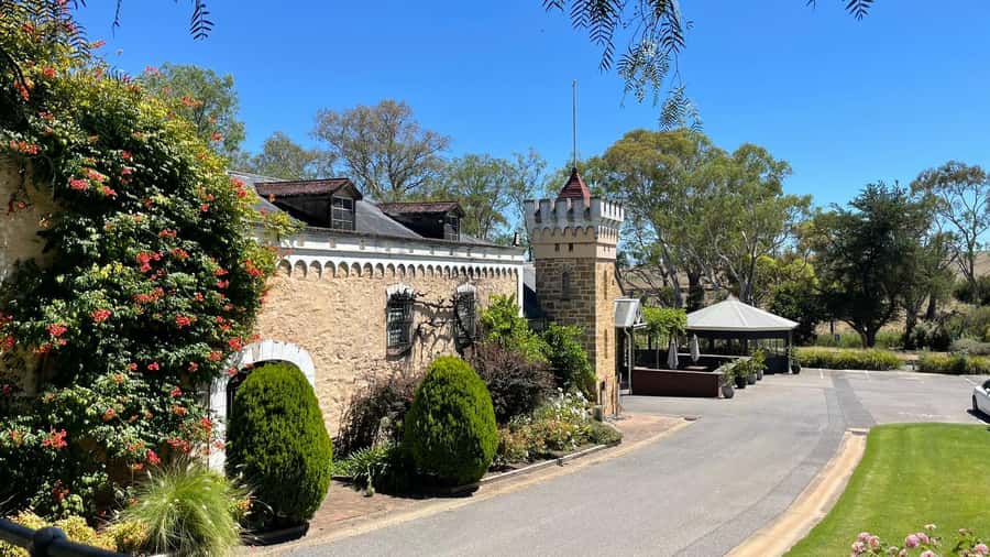 Best of Adelaide- City Highlights (Half-Day Tour) - Plane Tree Drive and Colonel Light’s Lookout