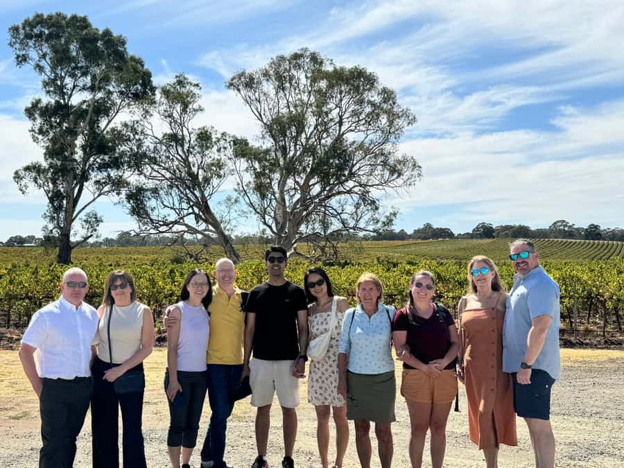 Best of Adelaide- City Highlights (Half-Day Tour) - Mount Lofty Summit and the view over Adelaide