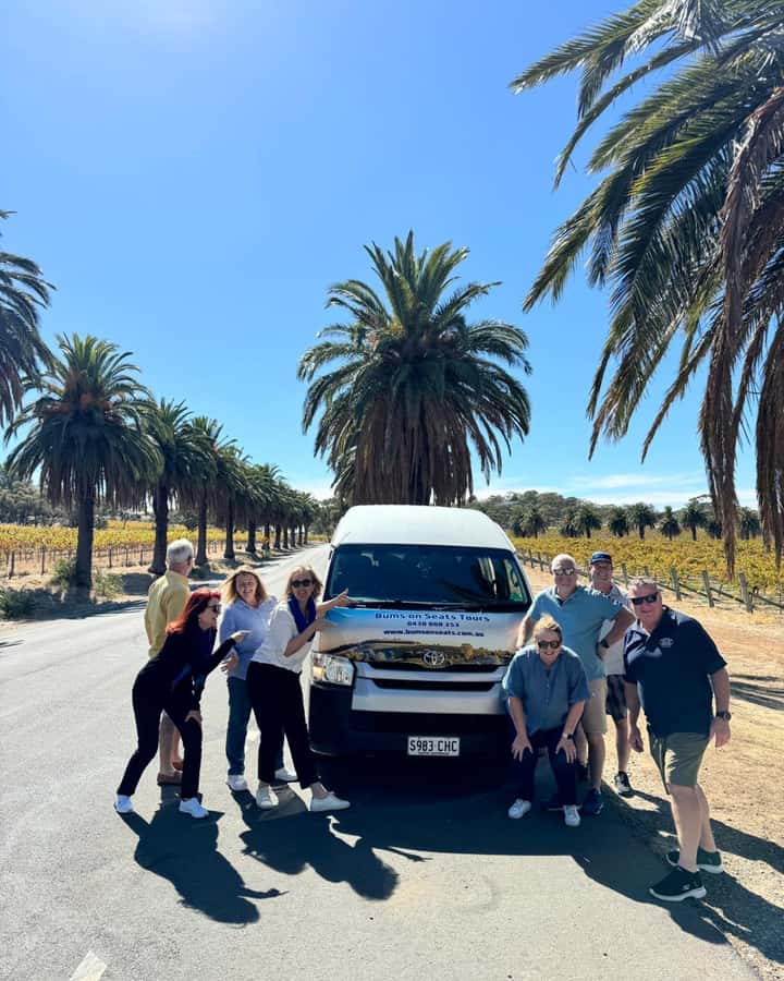 Best of Adelaide- City Highlights (Half-Day Tour) - The guide and vehicle can shape the morning