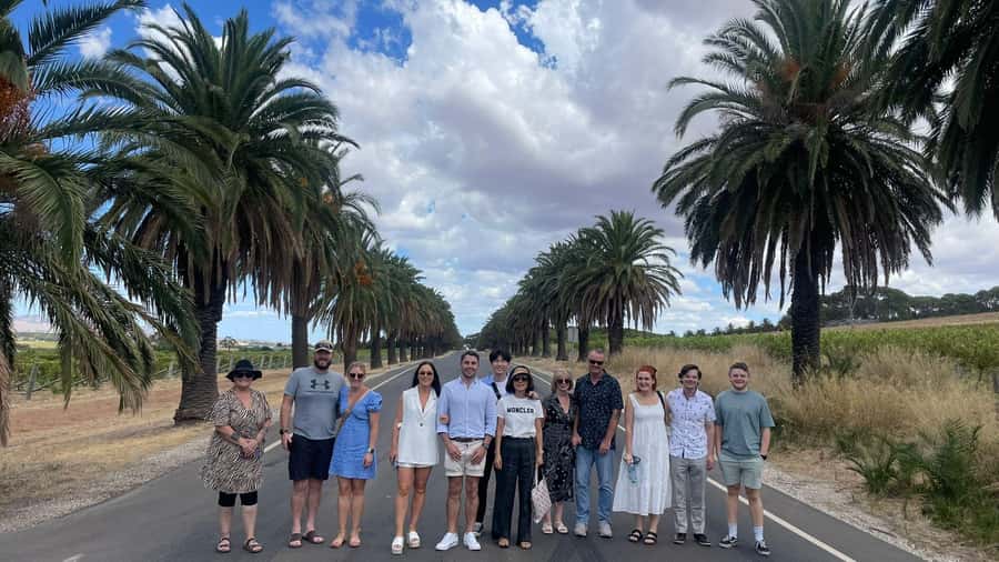 Best of Adelaide- City Highlights (Half-Day Tour) - Is $82 good value for Adelaide?