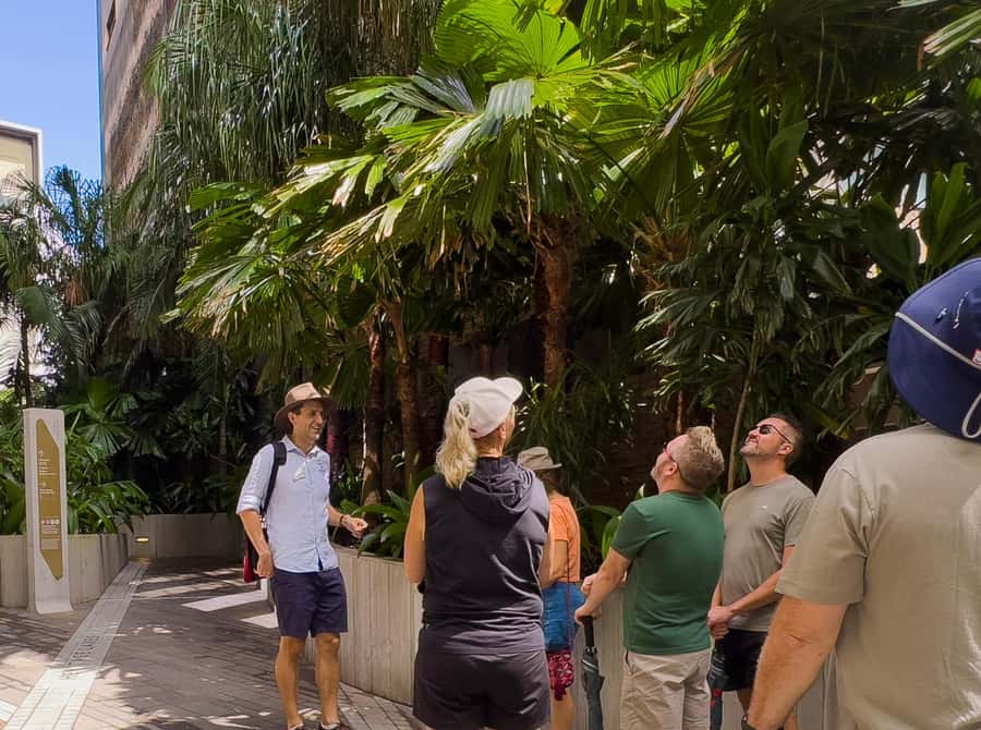 Best of Brisbane Walking Tour | Small Group & snack - Why this three-hour Brisbane walk works