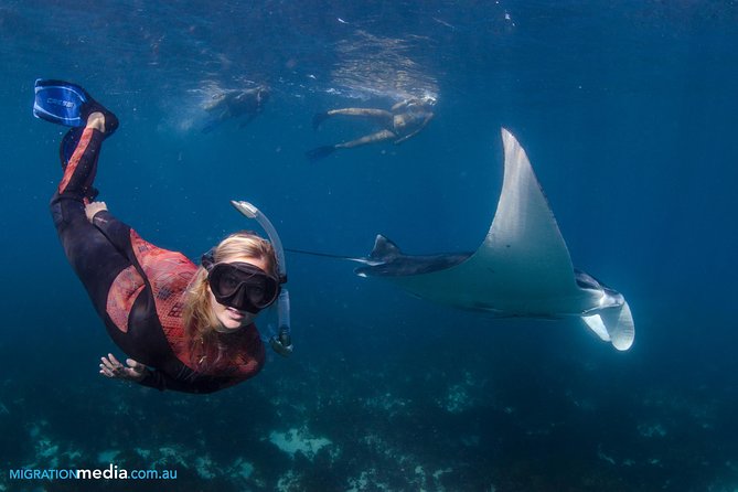 Best of Ningaloo Mantas and More - Is $251.04 good value?