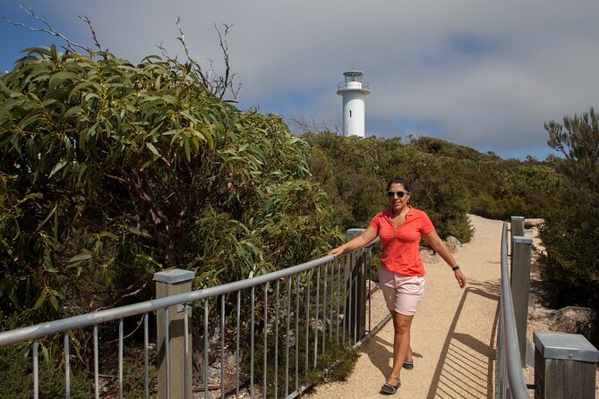 BIG 3 Tasmania - Port Arthur, Wineglass Bay, Cradle Mountain - Day 3: Sheffield murals and Cradle Mountain