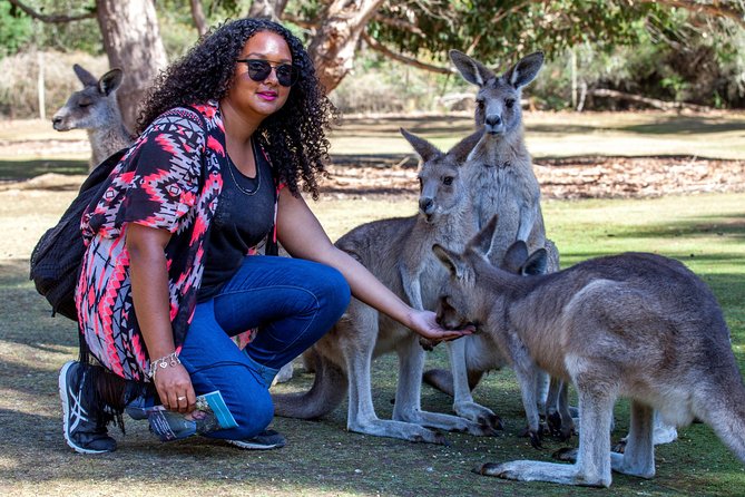BIG 3 Tasmania - Port Arthur, Wineglass Bay, Cradle Mountain - Should you book the BIG 3 Tasmania tour?