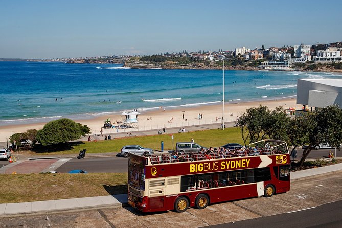 Big Bus Sydney and Bondi Hop-on Hop-off Tour - The red city route, from museums to the harbor