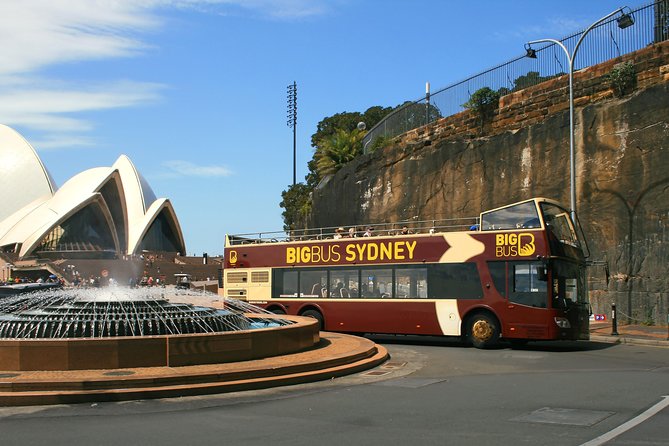 Big Bus Sydney and Bondi Hop-on Hop-off Tour - Should you book the Big Bus Sydney and Bondi tour?