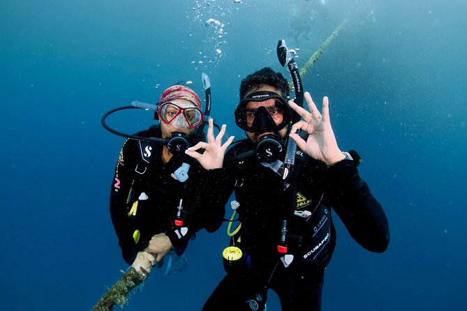 Blue Dive Private Guided Scuba Dive Cairns - Boarding the catamaran