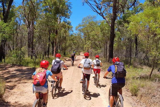 Blue Labyrinth PRIVATE Tour: Sydney Blue Mountains by E-Bike - Mt Portal, Tunnel View, and Nepean River outlooks