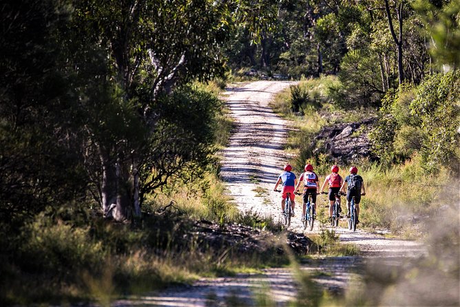 Blue Labyrinth PRIVATE Tour: Sydney Blue Mountains by E-Bike - How the private format changes the morning