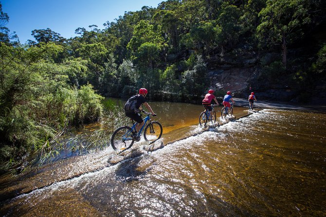 Blue Labyrinth PRIVATE Tour: Sydney Blue Mountains by E-Bike - Who will enjoy this ride most?