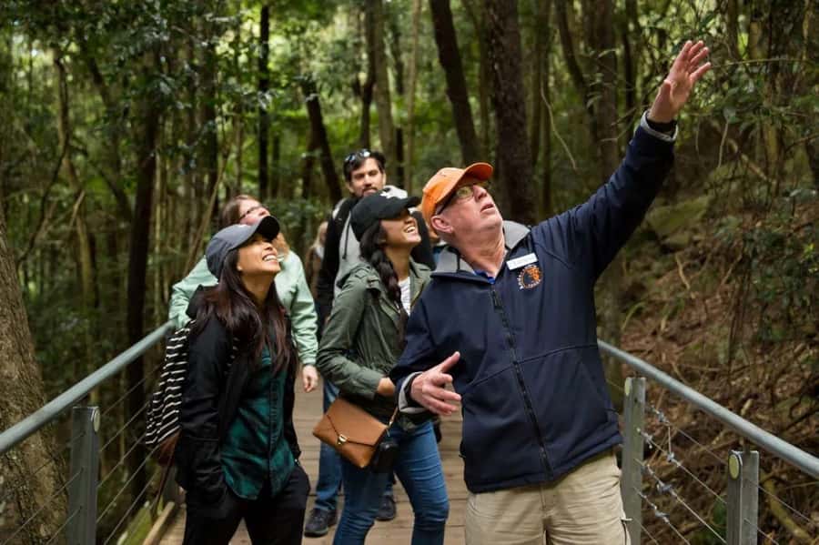 Blue Mountain: Small-Group Tour with Lunch & Scenic World - Scenic World: three rides and a rainforest walk